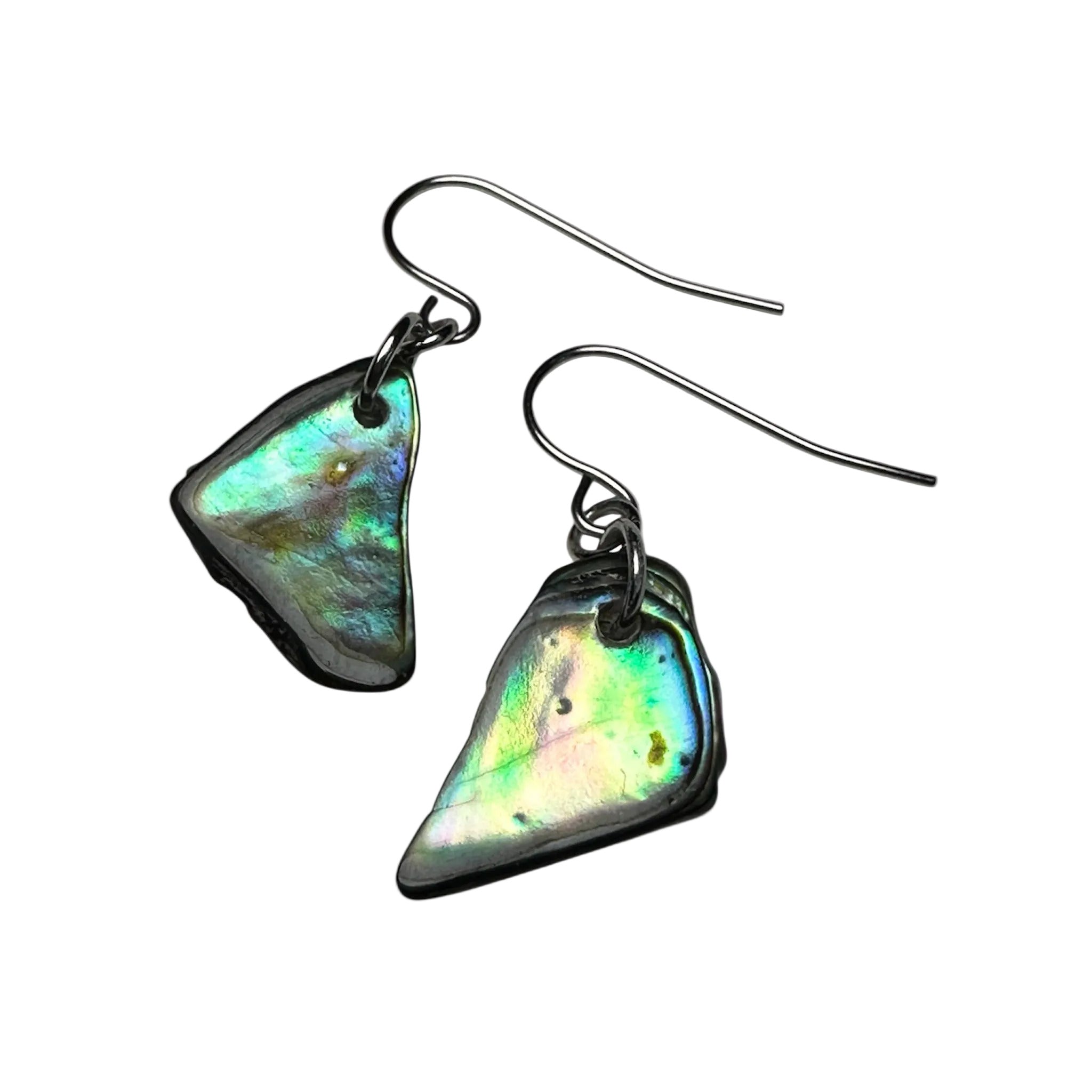 Iridescent Paua shell earrings set in stainless steel hooks