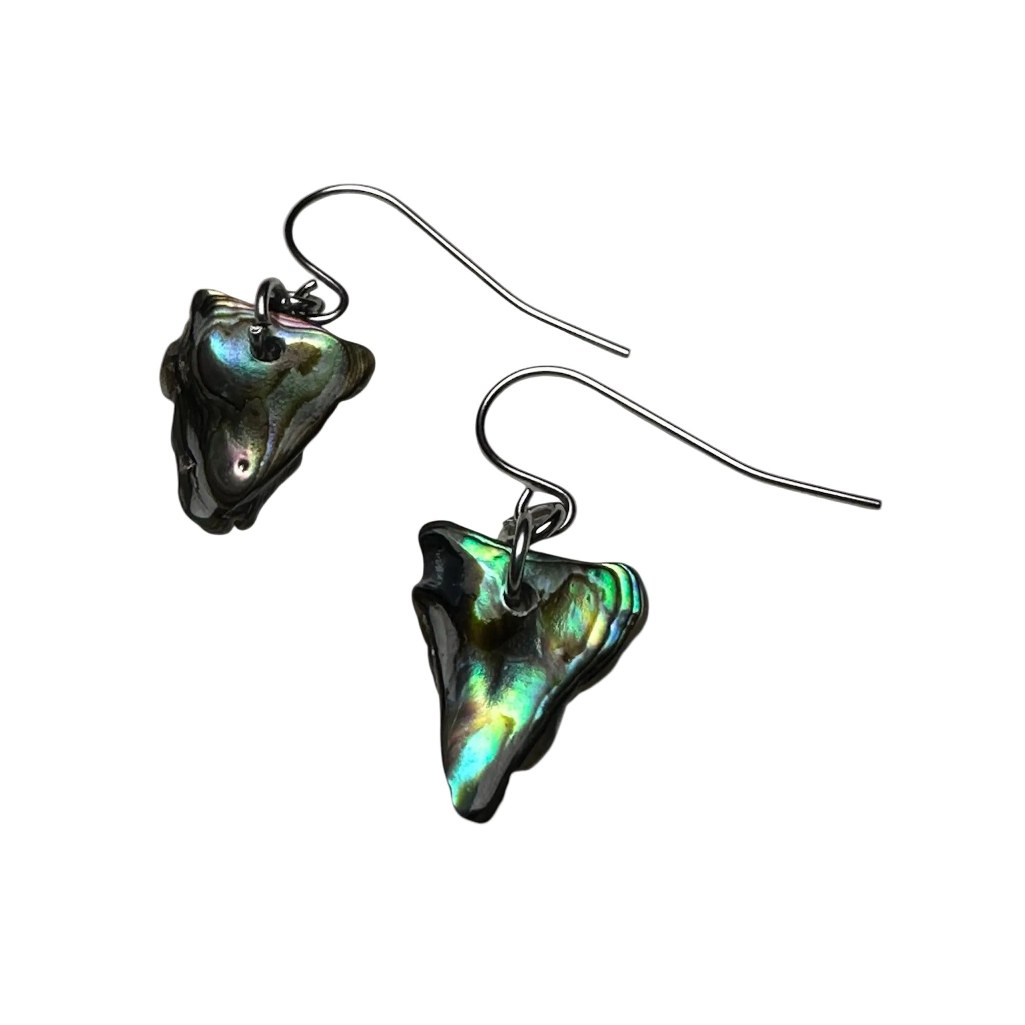 New Zealand Paua shell earrings with modern stainless steel design